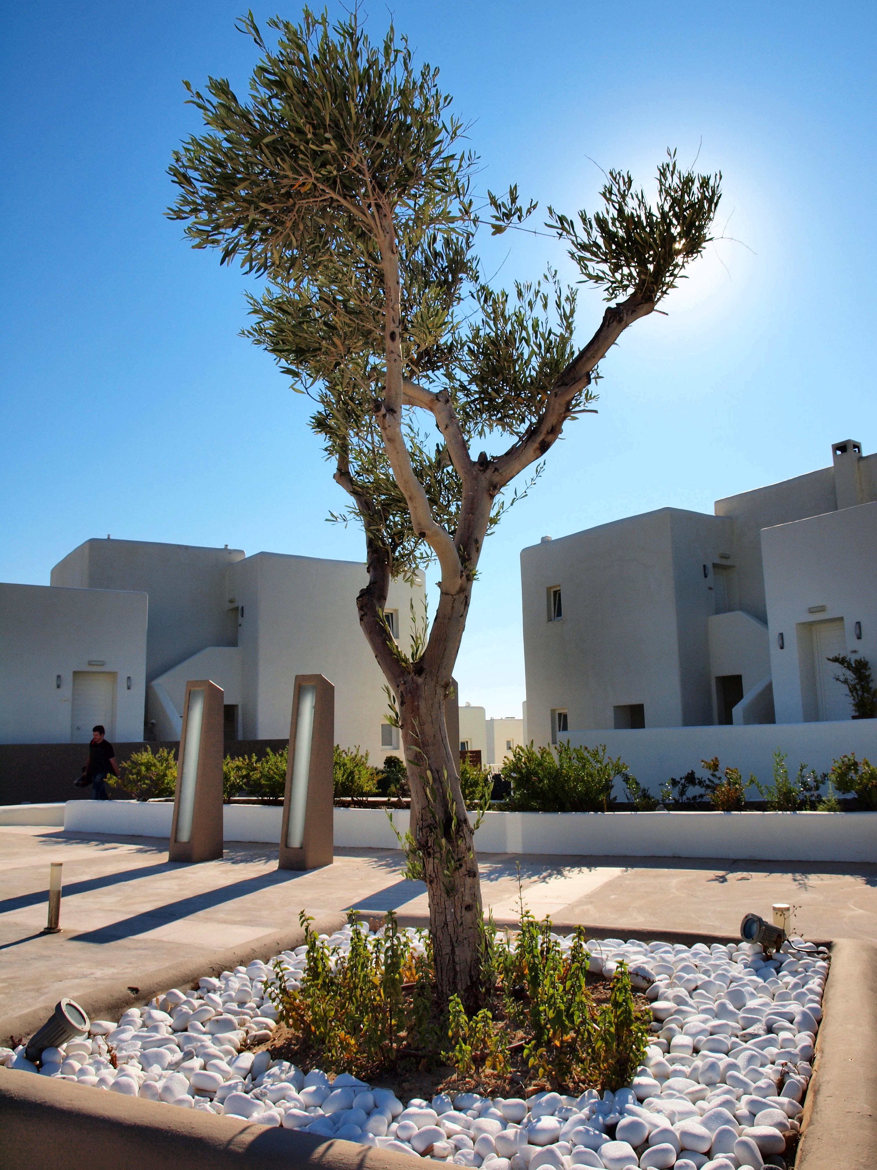 Archipelagos Resort Парос Екстериор снимка
